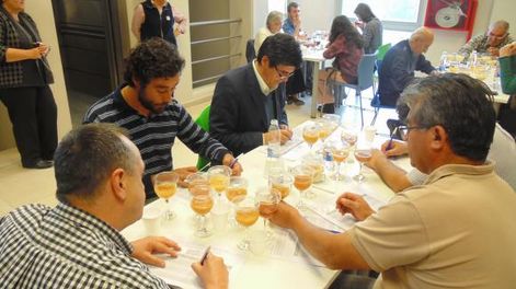 Premio para seis apicultores en el 4º Concurso de Mieles