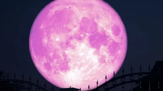 Junio trae la Luna de Fresa: ¿cuándo y cómo verla desde Argentina?