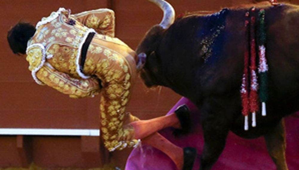 Mañana le va a doler: dura cornada a un torero en Sevilla