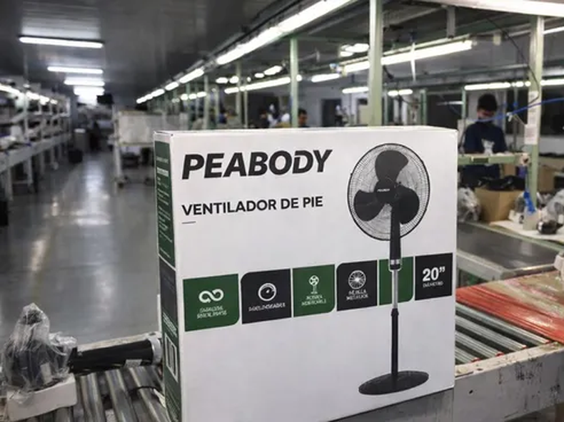 En 2023 la empresa llegó a emplear en forma directa a más de 350 personas.&nbsp;