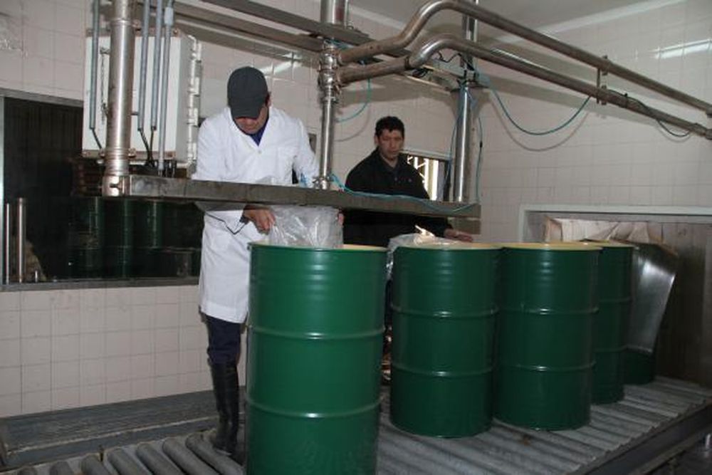 Mosto orgánico: una alternativa a la crisis vitivinícola local