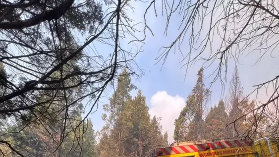 Bomberos sanjuaninos combaten el fuego en Chubut: los detalles de la primera jornada de trabajo, con el peligro inminente