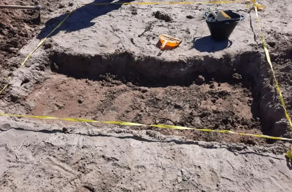 Tellechea: a la espera del ADN, aparecen más datos del cráneo