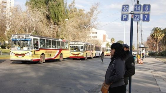 Las 3 líneas de micro que trasladarán gratis al público