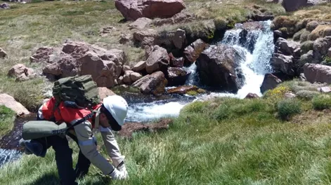Diario de Cuyo | CLAVE. La flora encordillera sedesarrolla engeneral cerca defuentes de agua ysirve de alimentoa animales, enespecial las aves,por lo quealrededor de ellasse desarrollan los ecosistemas.