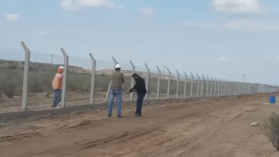 Por el avance de la ley buscarán ampliar la superficie para cultivar el cannabis