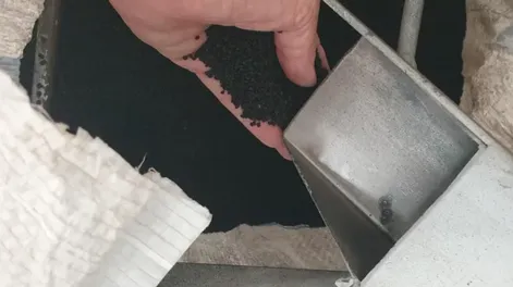 Diario de Cuyo | f1p6_verde_crop1709335592107.jpg_1199923512 728x728.webp