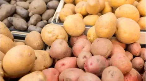 BUSCAN reducir el impacto ambiental y promover prácticas sostenibles.