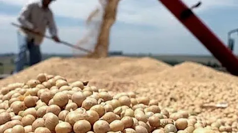 El 64% de los productores postergó sus inversiones