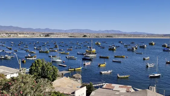 Una vista panorámica de Tongoy
