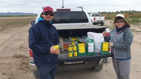 Con la siembra de parcelas de zanahorias, continúa la acción