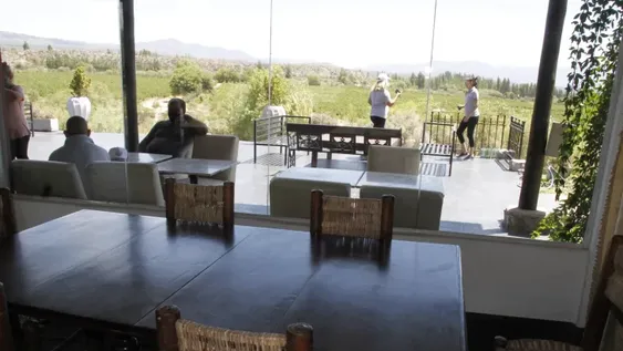 Las bodegas, un aporte a la elegancia