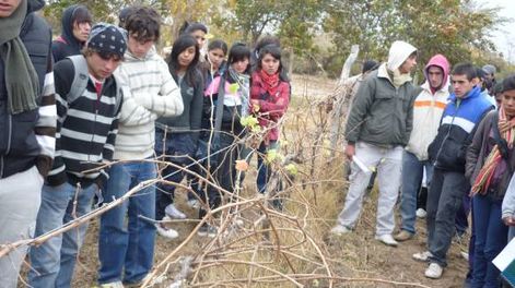 Integran a jóvenes vitivinícolas