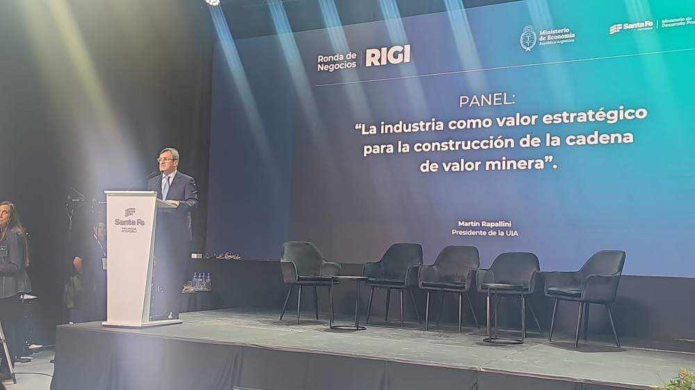 Mart&iacute;n Rappallini, presidente de la Uni&oacute;n Industrial Argentina (UIA).