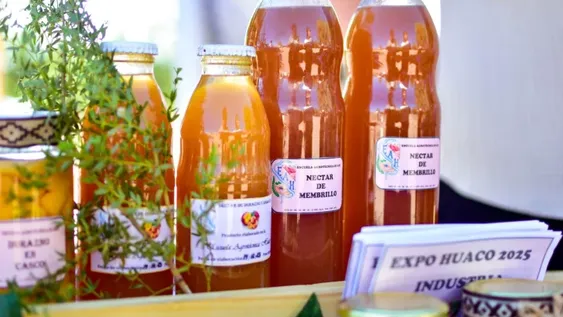 Expo Huaco 2025: educación, producción y comunidad fueron las claves del éxito de la nueva edición