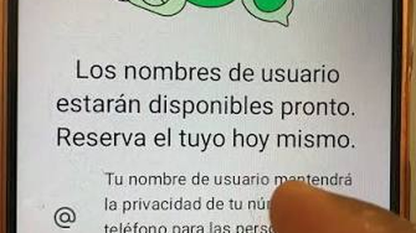 Alerta: por qué WhatsApp pide crear un nombre de usuario