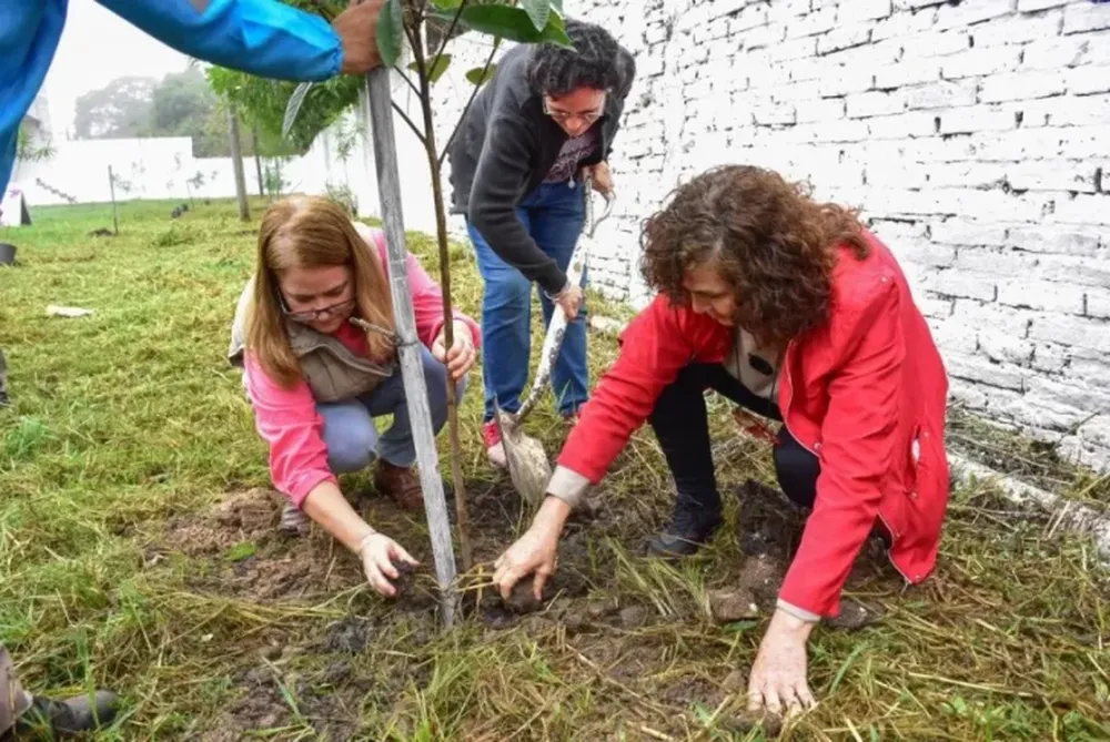 La necesidad de plantar árboles