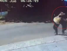 Le robó a un nene de 12 años. Le robó a un nene de 12 años.
